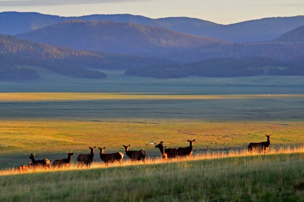 EDDIE BAUER BACKS AMERICAN FORESTS CONSERVATION IN THE SOUTHWEST FOR EARTH DAY