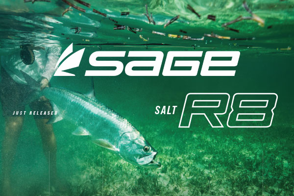 Sage Salt R8 Messaging & Campaign